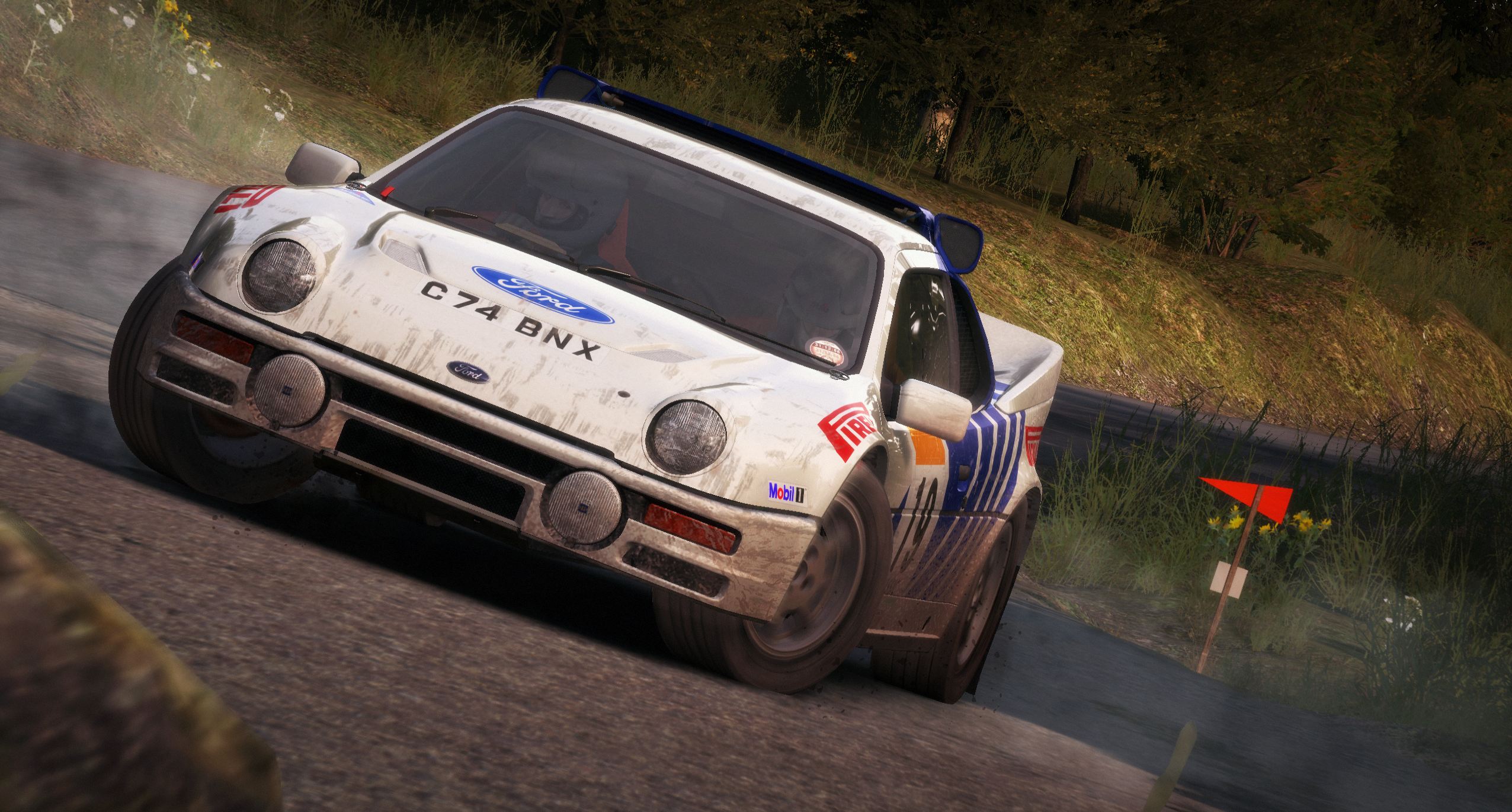 DiRT Rally - Imagen 11